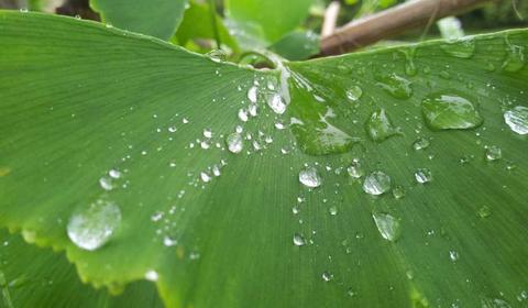 除甲醛最有效方法：实测有效的5大解决方案